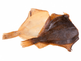 Ставрида черноморская холодного копчения: Камбала холодного копчения